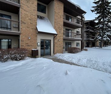 2 Bedroom Apartment In Lakeview - Photo 5
