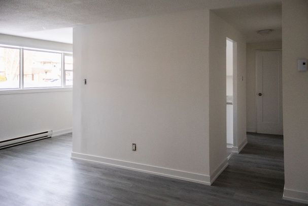 For Lease - 176 EIGHTH Street Unit# 102, Collingwood, Ontario - Photo 1