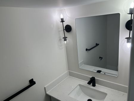 For Lease - 138 Degrassi Cove Circle Unit# Basement, Brampton, Ontario - Photo 4