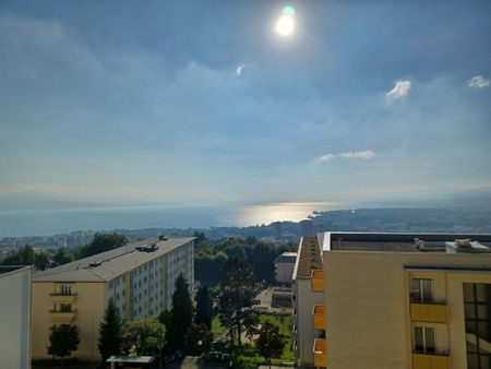 Chemin de Pierrefleur 28, 1004, Lausanne - Foto 3