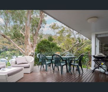 41 Hillside Road, Newport, NSW 2106 - Photo 4