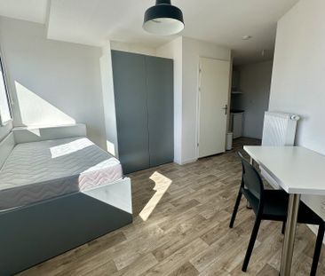 Location Appartement 1 pièce 20m² STRASBOURG 67000 - Photo 1