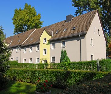4-Zimmer-Wohnung in Gelsenkirchen-Resser Mark mieten - Photo 6