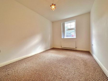 105a Ulsterville Avenue, Belfast, BT9 7AU - Photo 3
