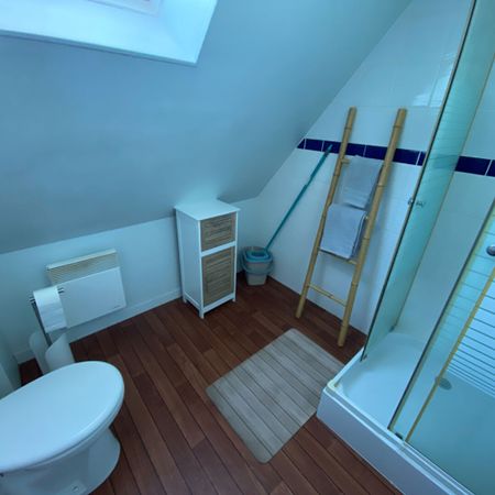 Location Appartement 1 pièce 16m² - Photo 4