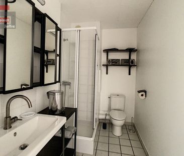 Location Appartement 1 pièce 23m² AVON 77210 - Photo 2