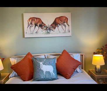 1 Bed Flat, Crimon Place, AB10 - Photo 5