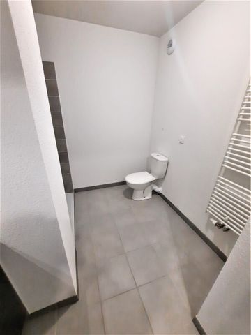 Location Appartement 1 pièce 22m² CASTANET TOLOSAN 31320 - Photo 2