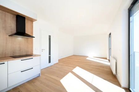 K PRONÁJMU – Moderní 1+kk v novostavbě, 37,6 m - Photo 2