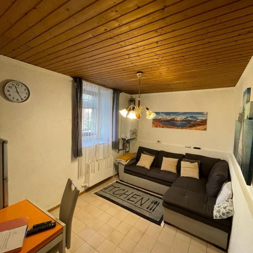 Nice 2-room apartment on the ground floor of a building in Lausanne - Photo 1