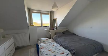 Appartement - Photo 4