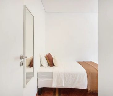 Rua Fialho de Almeida, Lisbon, Lisbon 1070 - Photo 2