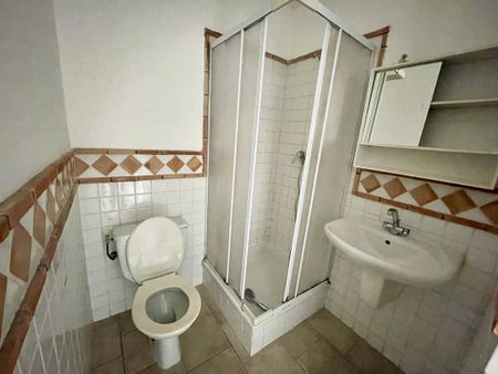 Location Appartement 1 pièce 19m² NICE 06100 - Photo 5