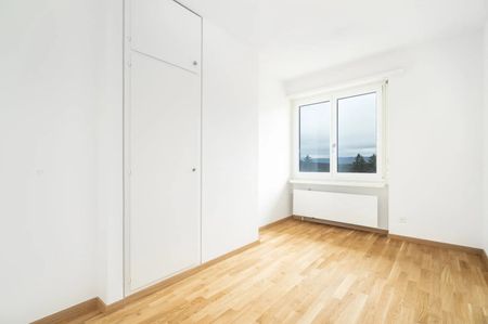 Rent a 4 ½ rooms apartment in Zumikon - Photo 4