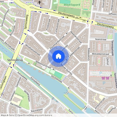 Laan van Nieuw-Guinea 91, 3531JE, Utrecht