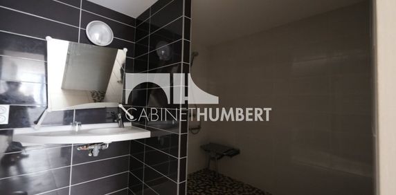 Location Appartement 1 pièce 22m² ST ETIENNE 42000 - Photo 2