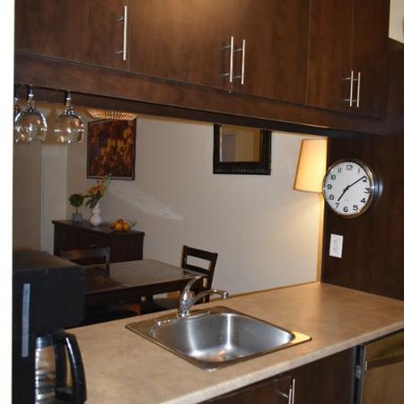 2 chambres, secteur Côte-des-Neiges/Outremont - Photo 3
