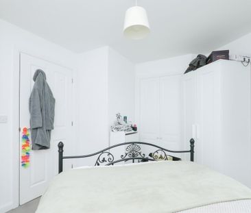 Lobelia Lane - Photo 4