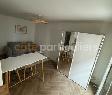 Location Appartement 1 pièce 19m² - Photo 3