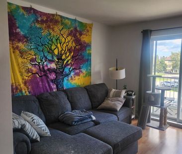 3 1/2 Mascouche - Photo 1