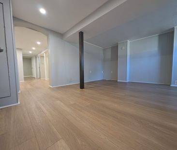 For Lease - 126 Sheldon Avenue Unit# Lower, Newmarket, Ontario - Photo 3