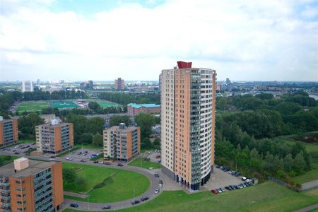 Hoge Filterweg 342, 3063KG Rotterdam - Foto 5