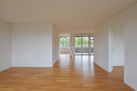 Modern 3.5-room apartment on the ground floor in a central location - Photo 3