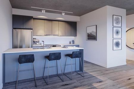 1255 rue Saint-Dominique, Montréal, QC - Photo 3