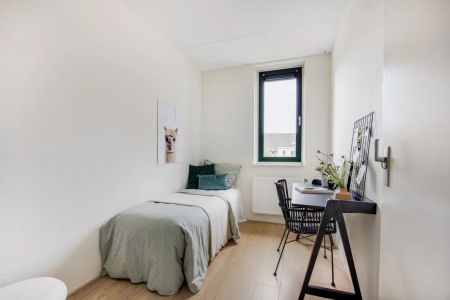 Remiseplantsoen 11 - Photo 2