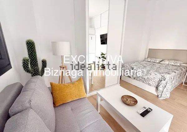 Alquiler de estudio en Avenida de España, 1