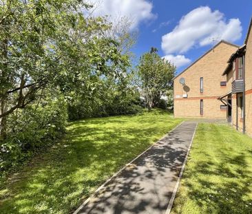 Studio to rent - Photo 6