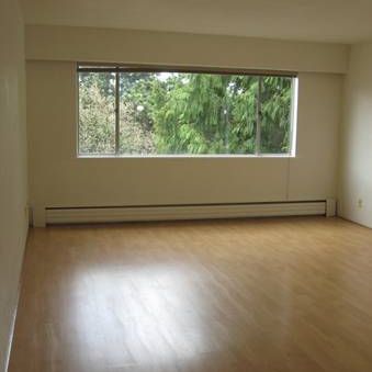 HUGE 1 Bedroom in Great Marpole location! Spacious & Bright!!! - Photo 3