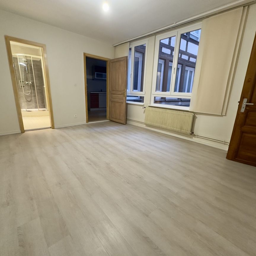 Appartement 3/4 pièces lumineux et calme en hyper centre de Strasbourg – Rue Sainte-Barbe - Photo 1