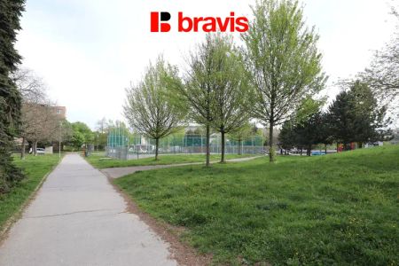 Podnájem zařízeného bytu 1+kk, Brno - Vinohrady, ul. Blatnická, po rekonstrukci, sklep - Photo 5