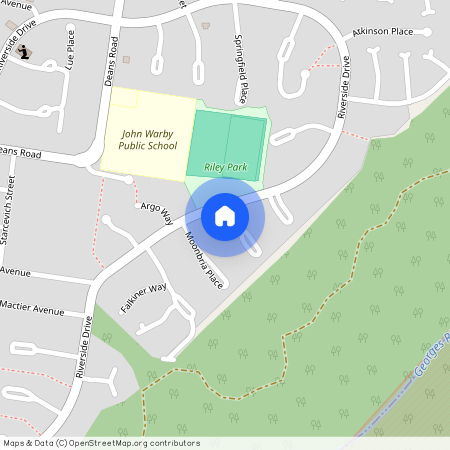 3A Haddon Rig Place, NSW 2560, Airds