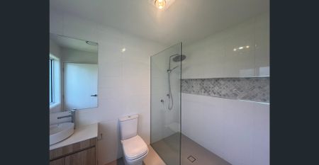 Brand New Contemporary Family Home - Photo 4