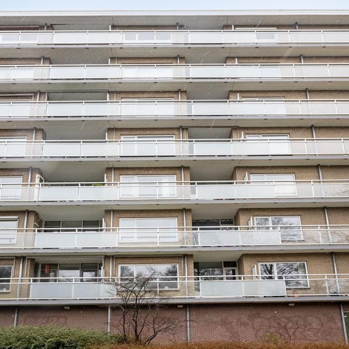 Marne 54, Watercirkelbuurt, 1186PC, Amstelveen - Foto 1