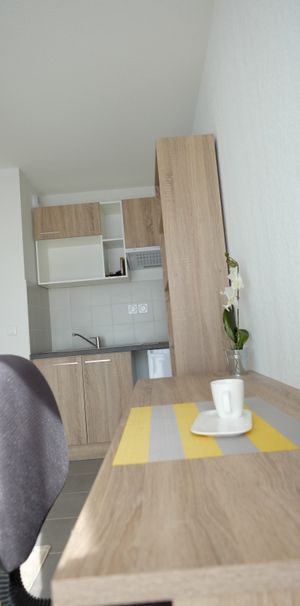 Location Appartement 1 pièce 22m² ISLE 87170 - Photo 1