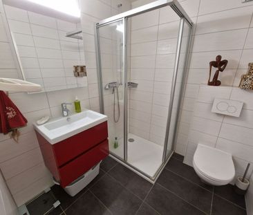 GROUND FLOOR WITH LARGE GARDEN - Photo 3