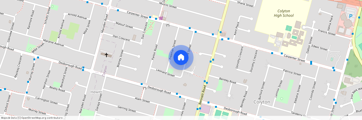 19 Leonard Street, Colyton