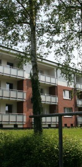 schöne 3 Zimmer Mietwohnung in Elmshorn - Photo 1