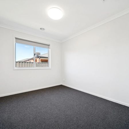 16 Coffey Street - Photo 5