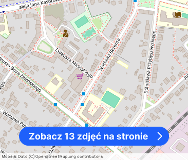 Willowe, 35m2, z tarasem , ogródkiem - Zdjęcie 1