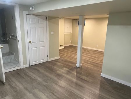 For Lease - 30 West Street Unit# Lower, East Gwillimbury, Ontario - Photo 4