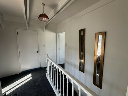 Belmont Lane - one of the best kept secrets! - Photo 2