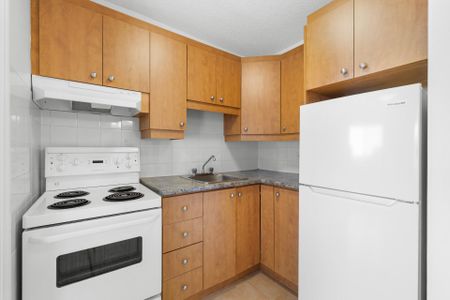 Condo for rent, Montréal (Ville-Marie) - Photo 2