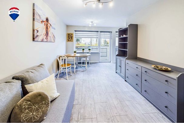 Do wynajęcia kawalerka po remoncie - Zdjęcie 1