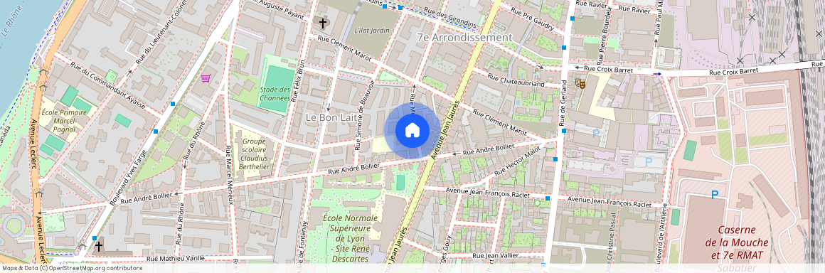 44 Rue Michel Felizat, 69007 Lyon