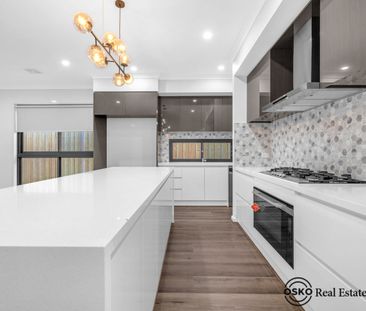 Spacious Family Living in Mount Duneed - Photo 6