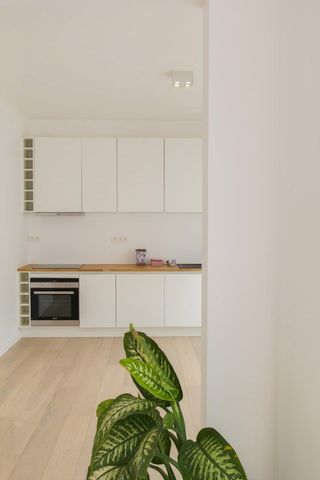 Luxe gelijkvloers duplex appartement met grote buitenruimte Gent Dampoort - Foto 5